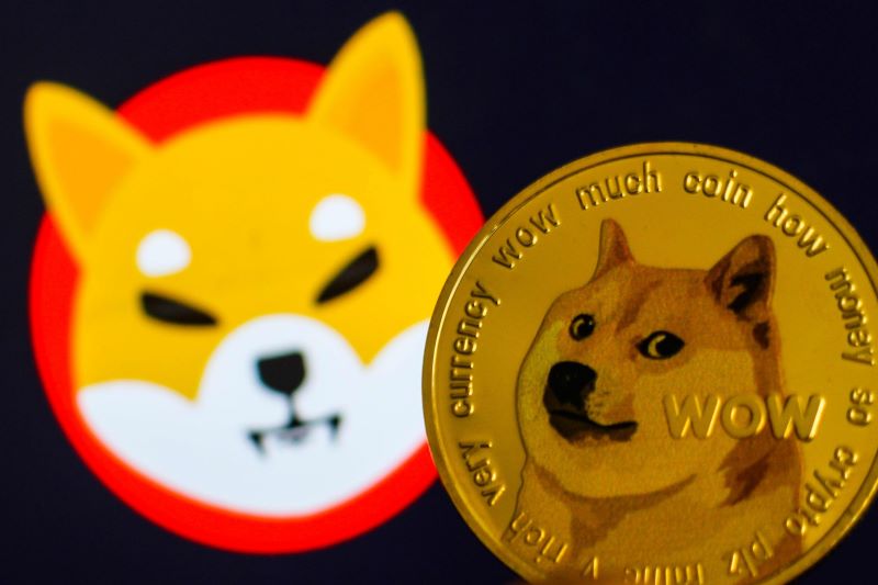 Shiba Coin là gì? – Cơ hội hay rủi ro?