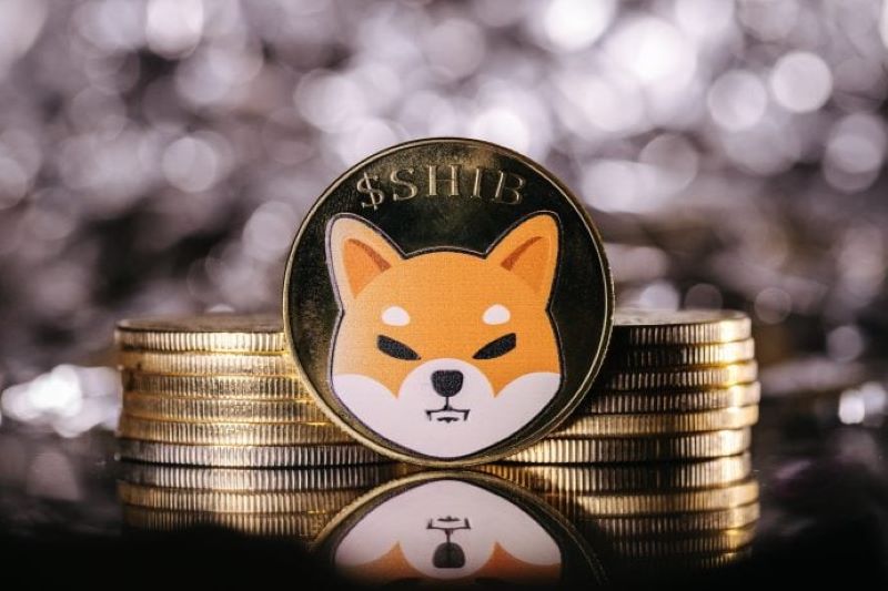 Shiba coin là gì